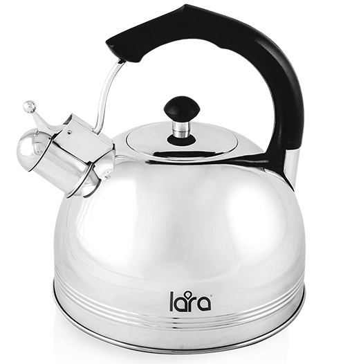 Чайник Lara LR00-06 серебристый