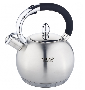 Чайник Zeidan Z4160 серебристый