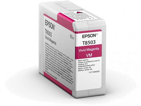 Картридж Epson C13T850300